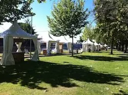 Zona Paladar +