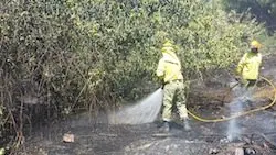 Retenes trabajando en un incendio en Torre de Don Miguel (30-08-14)