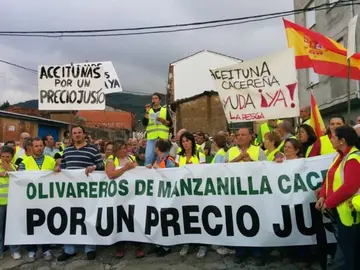 Manifestaci&oacute;n de los olivareros por un precio justo