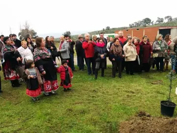 Los vecinos se reúnen en la zona de plantación durante la 211 Fiesta del Árbol de Villanueva de la Sierra