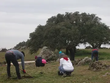 Una edición anterior del programa Plantabosques de ADENEX