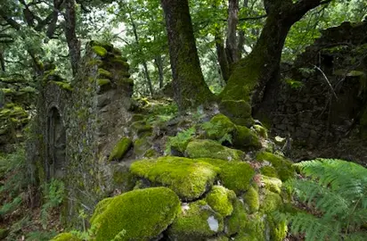 Restos del antiguo convento franciscano en Las Siete Fuentes de Fundación Phi