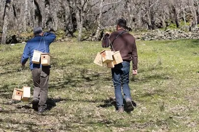 Instalación de nidos en Campus Phi Gaia de Sierra de Gata