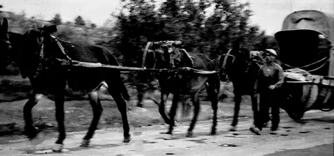 Carro para transporte de barriles de vino 2