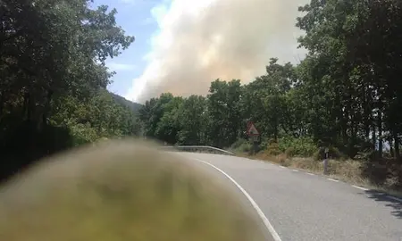 Incendio en San Martín de Trevjeo la tarde del 24 de agosto de 2016. CEDIDA