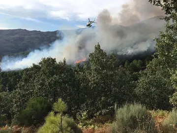 Incendio en la zona de Os Corrales en San Martín de Trevejo