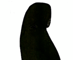 Mujer de luto portada