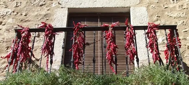 pimientos-secos-sierradegata.jpg (1)