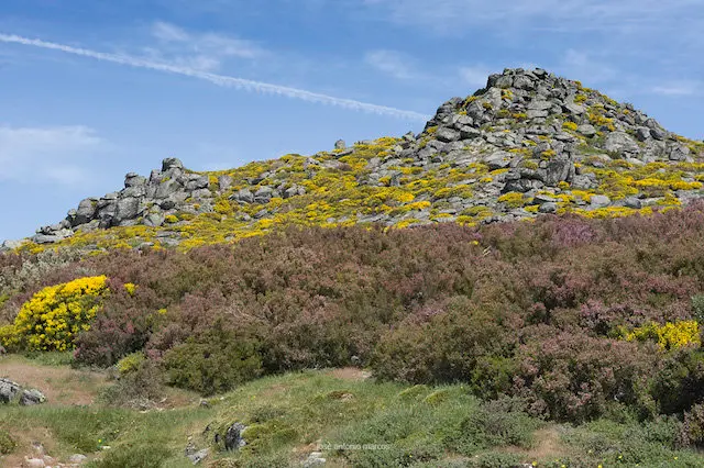 Monte Jalama 
