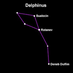 , Delphinus.png
