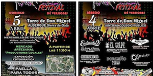 Festival Torrock, organizado por la asociación Bellota Rock