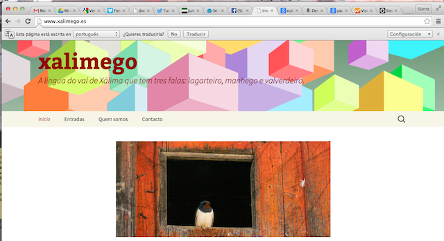 Portada de inicio de la nueva web www.xalimego.es
