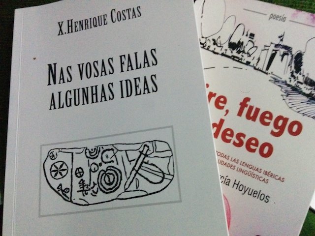 Portadas de los libros firmados por el profesor Xosé Henrique Costas y el poeta Juan Carlos García Hoyuelos