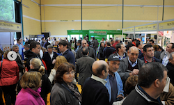 I Feria Internacional de Apicultura y Turismo 2013