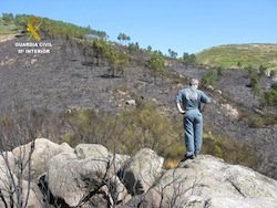Balance de incendios forestales en la provincia de Cáceres