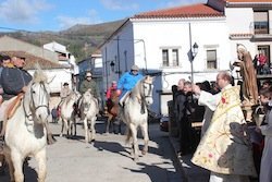 San Antón bendice los caballos en Valverde del Fresno