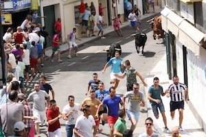 Los jóvenes corren el toro en los festejos taurinos de Moraleja