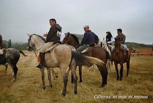VII Concentración de caballos Navelonga 2014