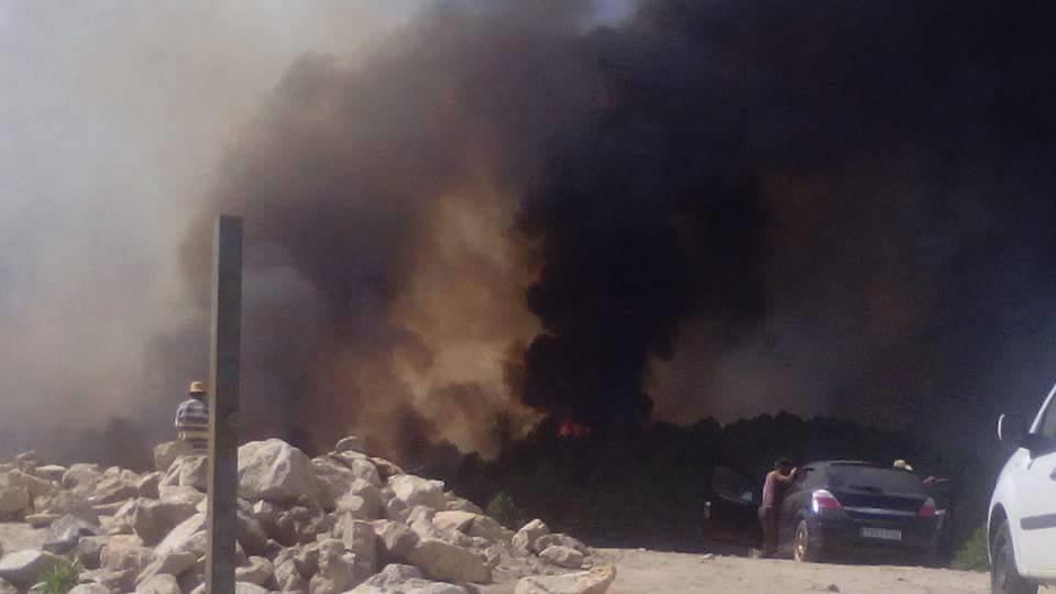 En las proximades del incendio de Acebo en la zona de La Osa. Imagen de Sonia Seco Fernández para www.sierradegatadigital.es