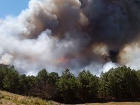 Incendio de Acebo en una zona de pinar en La Osa. Imagen de Sonia Seco Fernández para www.sierradegatadigital.es