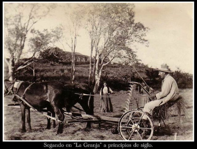 Segando en La Granja a principios del siglo XX