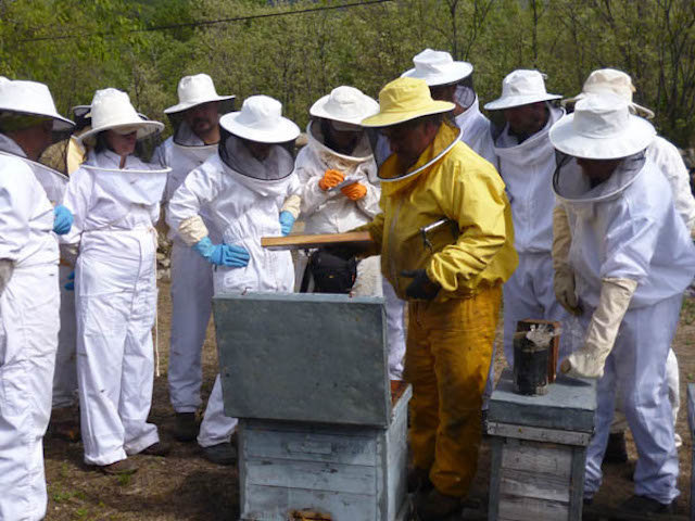 Curso de apicultura en el CFMR de Moraleja