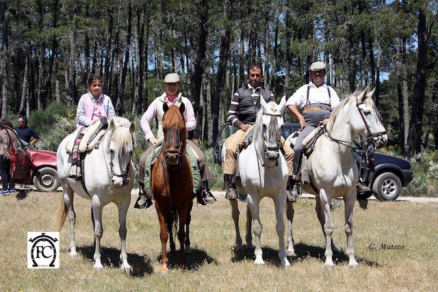 Feria del caballo en Robleda, Salamanca