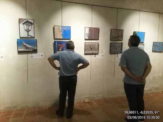 Exposición de Pedro Albalá en Coria