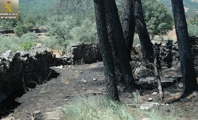 Incendio forestal provocado en Acebo el pasado 13 de julio
