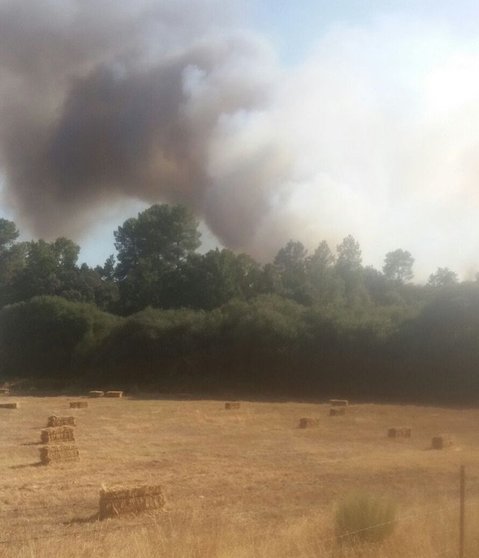 Incendio forestal declarado en Villasbuenas de Gata el 9 de septiembre de 2016. IMAGEN DE Y. MANZANO