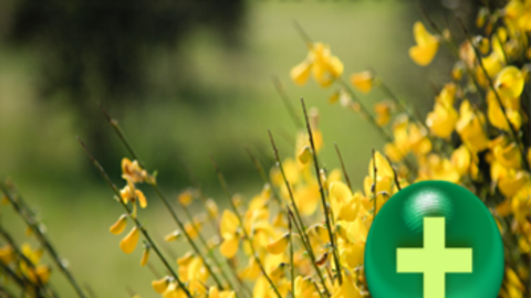 Banner_Colabora_Sierra_Gata