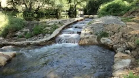 Pesquera de Cadalso