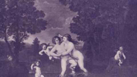 , hermafrodita.png