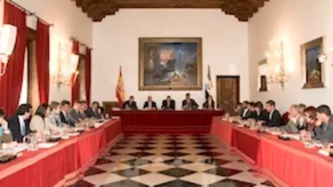 Pleno de la Diputaci&oacute;n. ARCHIVO