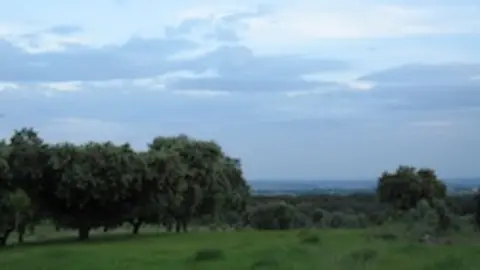 dehesa