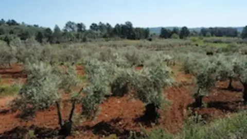 Finca en Sierra de Gata