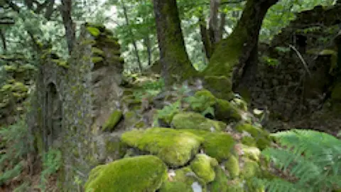 Las Siete Fuentes. Proyecto de la Fundaci&oacute;n Phi en Sierra de Gata