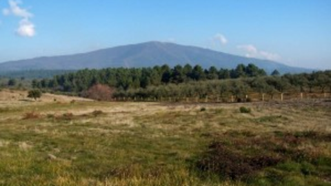 , FINCA OPENeLAND.jpg