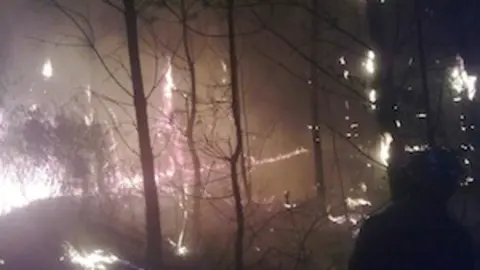 , incendio en el Puente la reina.jpg