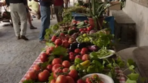Mercadillo ecol&oacute;gico de Hoyos