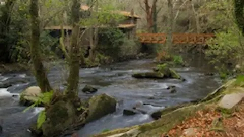 Sendas en Los Molinos de la Torre