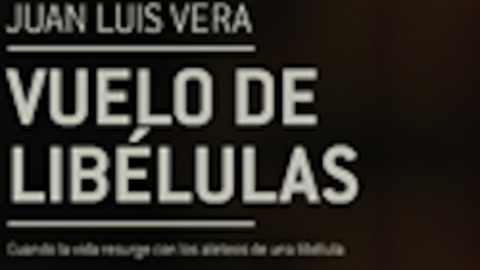 Vuelo de Lib&eacute;lulas