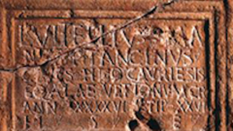 Lucius Vitellius