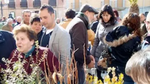 Reparto de plantones en la Fiesta del &Aacute;rbol