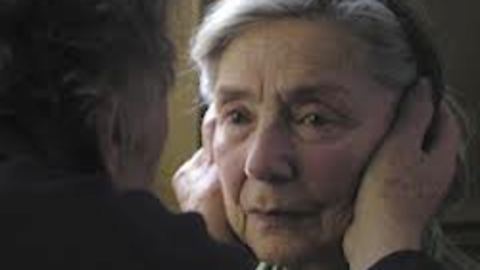 Amor