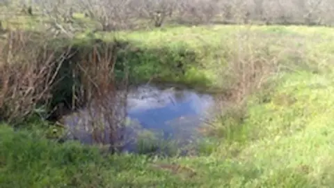 Finca en venta en Gata