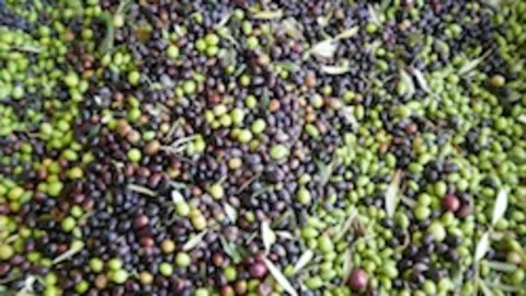 Aceitunas extreme&ntilde;as