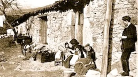 Acebo. 1915