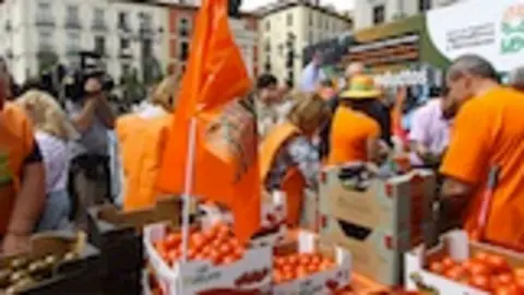 Reparto de alimentos de UPA en Madrid