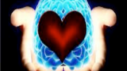 &iquest;Coraz&oacute;n o cerebro?